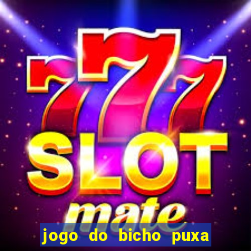 jogo do bicho puxa de dona maria